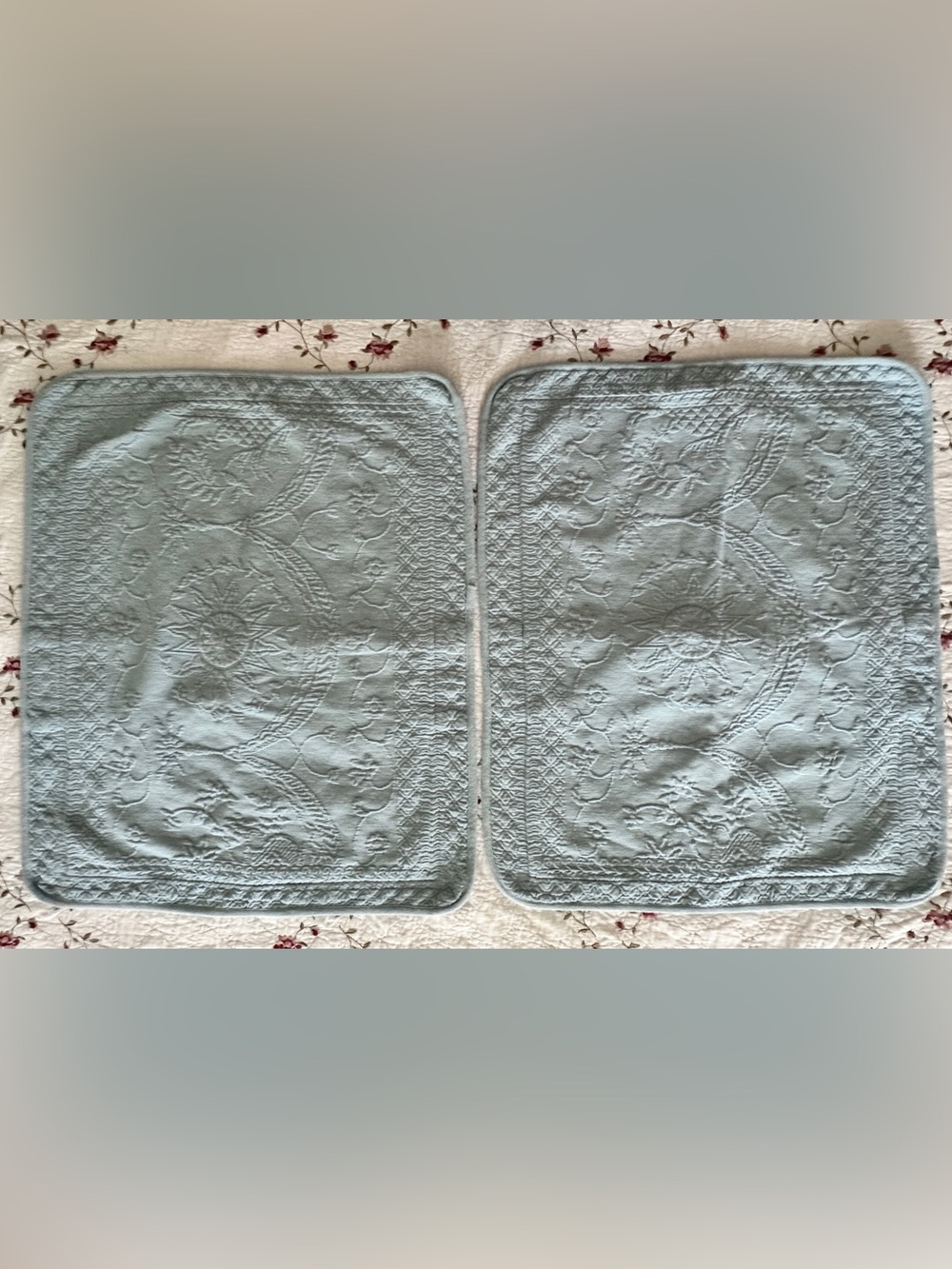 Historic Charleston Foundation King Charles Matelassé Pillow Shams 2 Standard